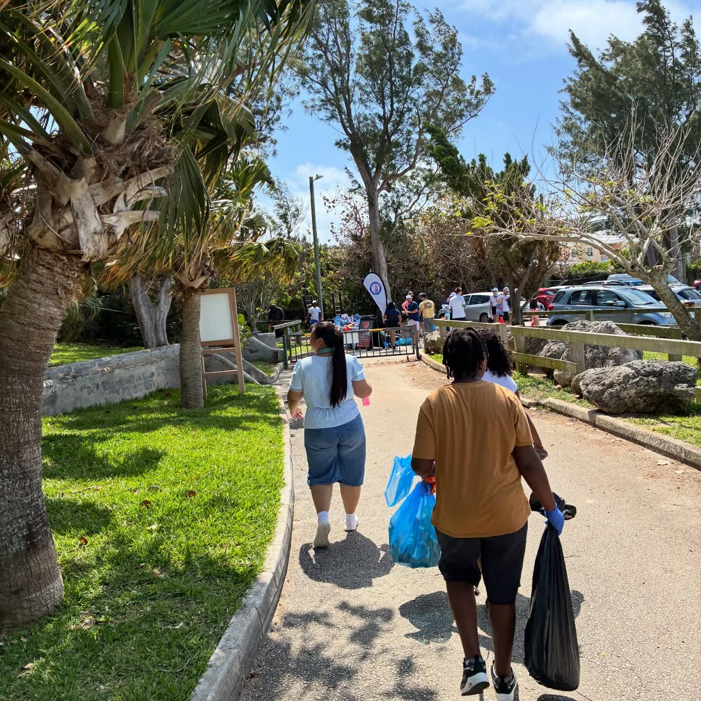 Beach Clean Up | Actuaries of Bermuda