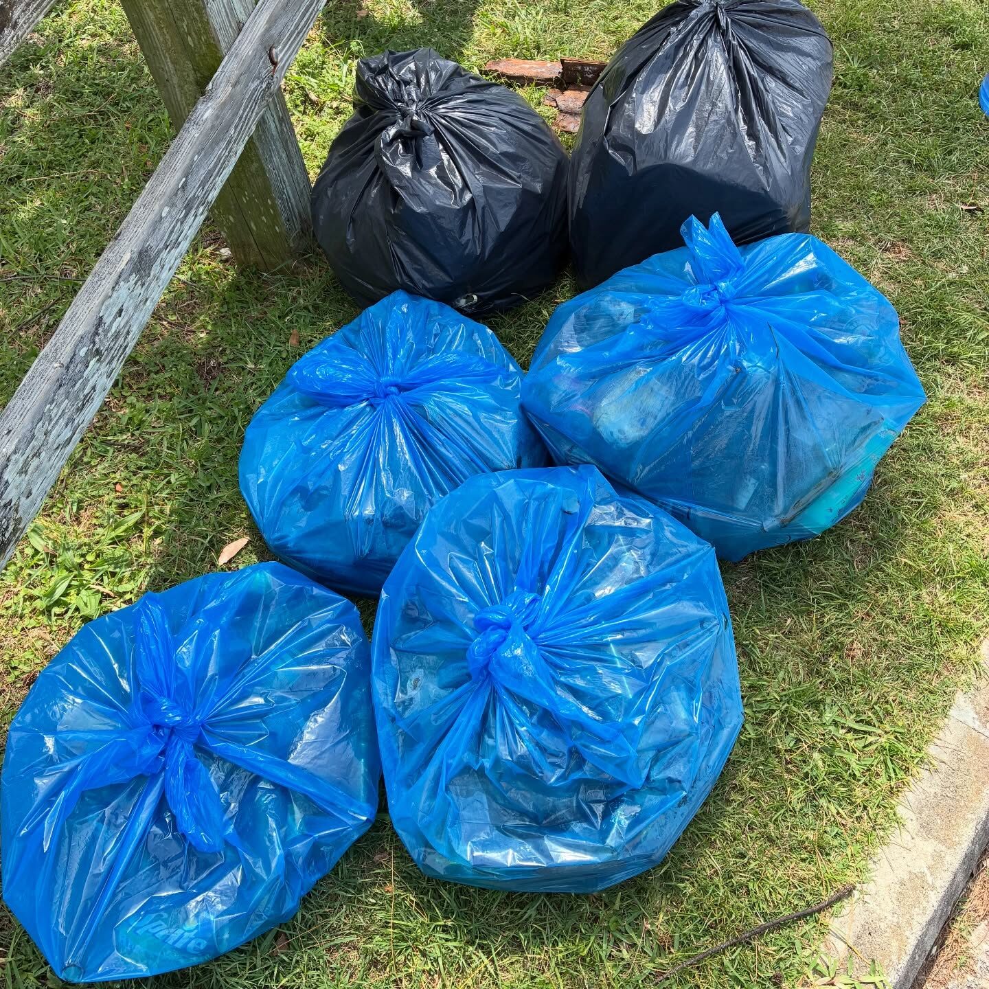 Beach Clean Up | Actuaries of Bermuda